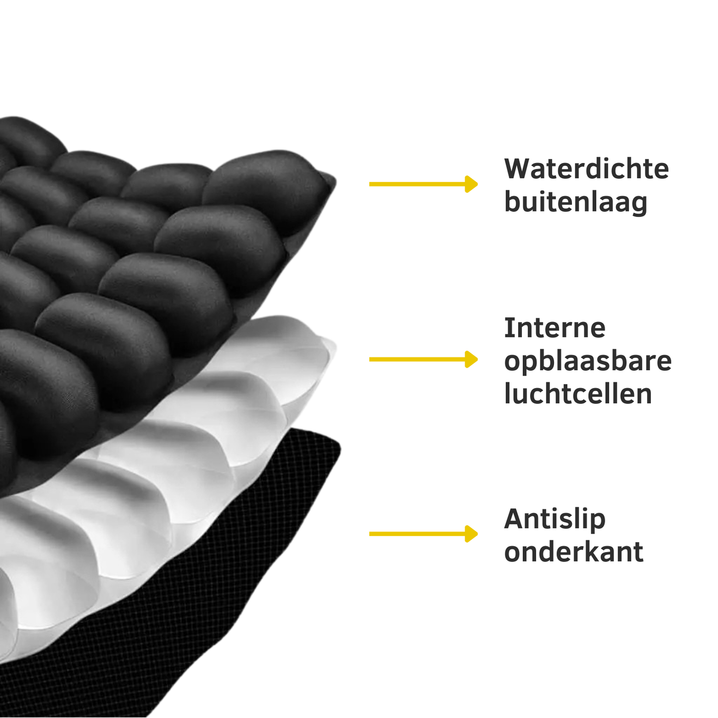 Explore Plus - Zitkussen